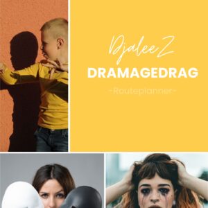 E-book Drama gedrag