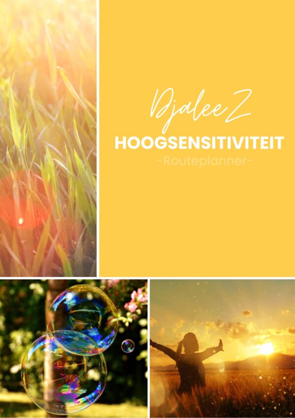 E-book Hoogsensitiviteit