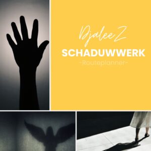 E-book Schaduwwerk