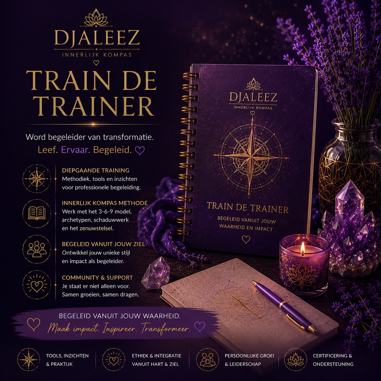 Trainer de Trainer